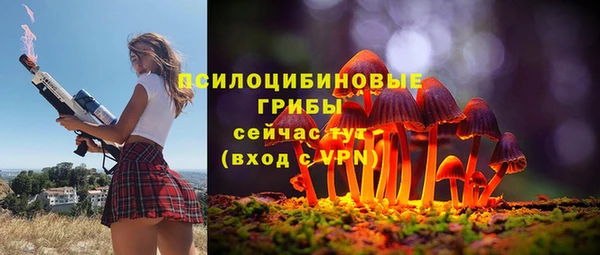 таблы Белокуриха