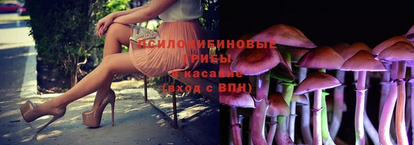 бошки Беломорск