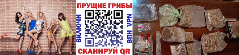 Галлюциногенные грибы MAGIC MUSHROOMS  блэк спрут рабочий сайт  Бутурлиновка 